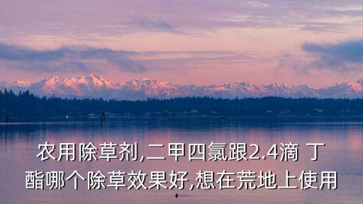 丁酯是什么農(nóng)藥,農(nóng)藥二四滴丁酯的作用