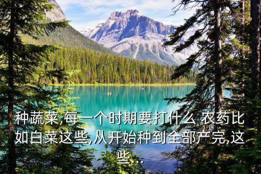 種蔬菜,每一個時期要打什么 農藥比如白菜這些,從開始種到全部產完,這些...