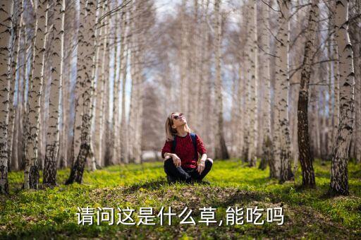 請問這是什么草,能吃嗎