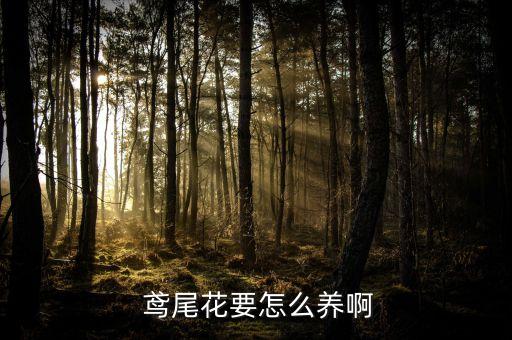 鳶尾地里的雜草用什么農(nóng)藥