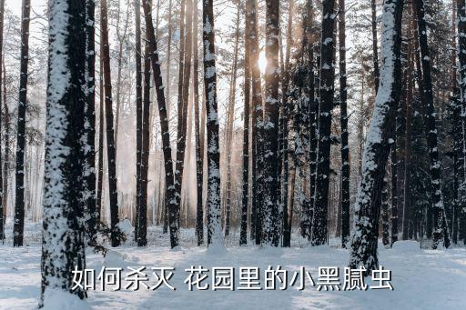 如何殺滅 花園里的小黑膩蟲