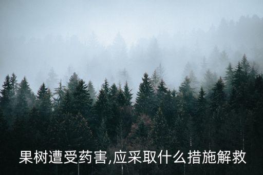  果樹(shù)遭受藥害,應(yīng)采取什么措施解救
