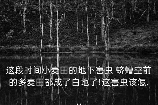 防治蠐螬用什么農藥好,蠐螬什么時間防治效果好