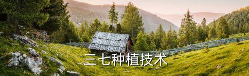  三七種植技術