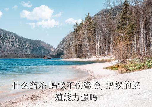 現在什么農藥治螞蟻蟲咬,螞蟻用什么農藥可以除掉它