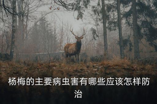 噴農藥對楊梅有什么危害,楊梅用什么農藥最好