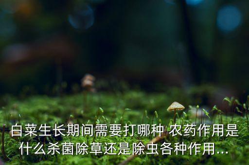 快菜噴什么農(nóng)藥,昨天噴農(nóng)藥的菜今天可以吃嗎