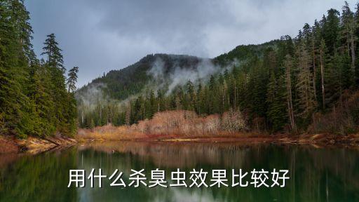 用什么殺臭蟲效果比較好