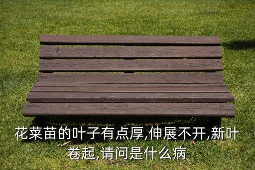 菜花苗打什么農(nóng)藥好些,菜花用什么農(nóng)藥
