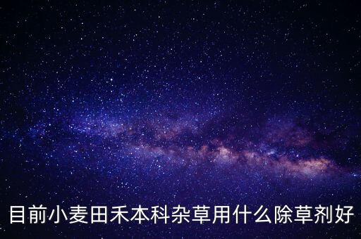 目前小麥田禾本科雜草用什么除草劑好