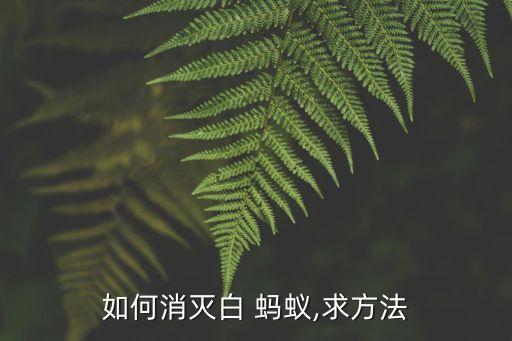 什么農藥能殺死綠化白螞蟻
