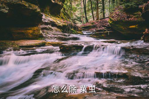 怎么除 菜蟲