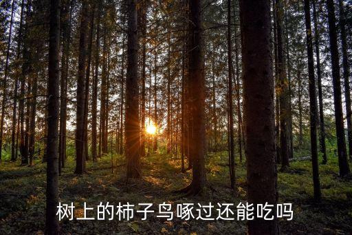 水果被鳥兒吃用什么農藥,什么水果打農藥最少