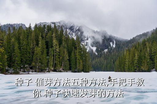 種子用什么農藥催芽,種子催芽應該放在什么地方
