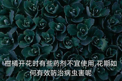 青桔促花用什么農藥,果樹促花用什么肥