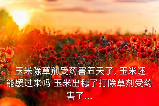什么農藥影響玉米不出穗,玉米治蟲用什么農藥好
