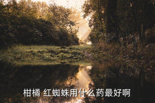 什么農(nóng)藥對紅蜘蛛最有效,紅蜘蛛冬季用什么農(nóng)藥