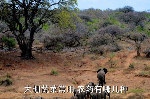 大棚蘑菇用什么農藥,大棚打農藥什么時間打