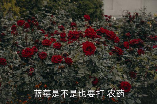  藍莓是不是也要打 農藥