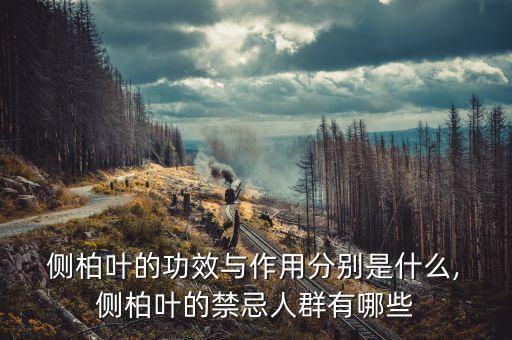  側柏葉的功效與作用分別是什么, 側柏葉的禁忌人群有哪些