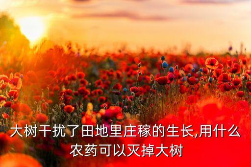大樹(shù)干擾了田地里莊稼的生長(zhǎng),用什么 農(nóng)藥可以滅掉大樹(shù)