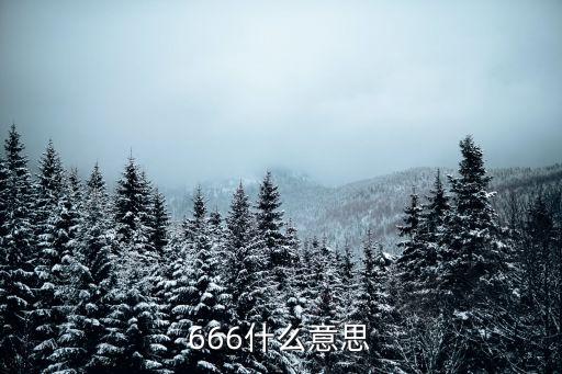 666什么意思