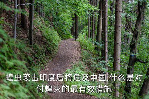 殺黃蟲用什么農(nóng)藥,什么農(nóng)藥殺地下蟲最好