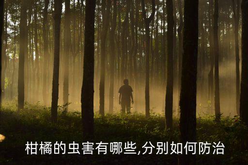 柑橘冬季清園用什么農(nóng)藥,冬季柑橘清園溫度多少最合適