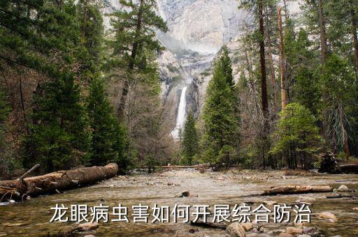  龍眼病蟲害如何開展綜合防治