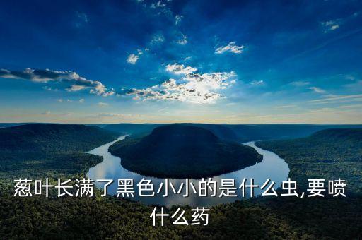 蔥葉長滿了黑色小小的是什么蟲,要噴什么藥