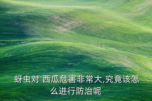 西瓜開花有蚜蟲打什么農(nóng)藥