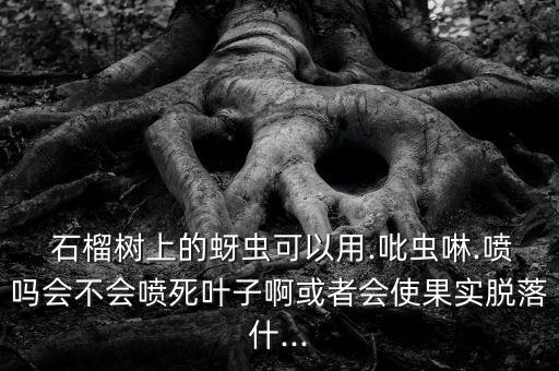  石榴樹上的蚜蟲可以用.吡蟲啉.噴嗎會不會噴死葉子啊或者會使果實脫落什...