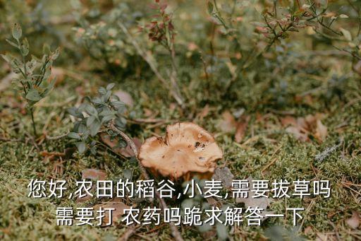 農藥拔拔地什么用處,農藥有什么用處