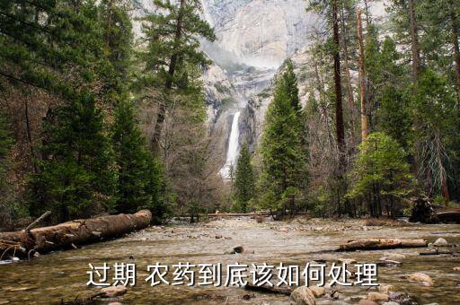 農藥過期有什么用法嗎,過期咖啡有什么其它用法