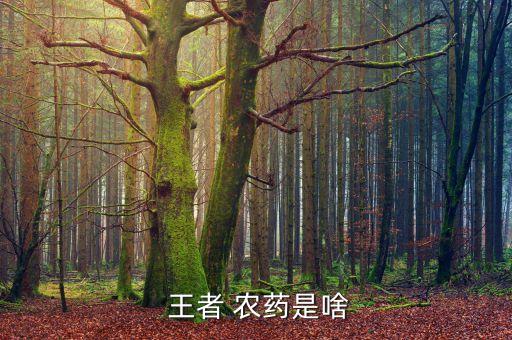  王者 農藥是啥