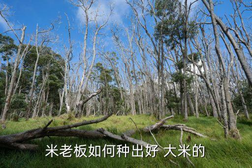 種大米用什么農(nóng)藥最好使,大米有農(nóng)藥味什么原因
