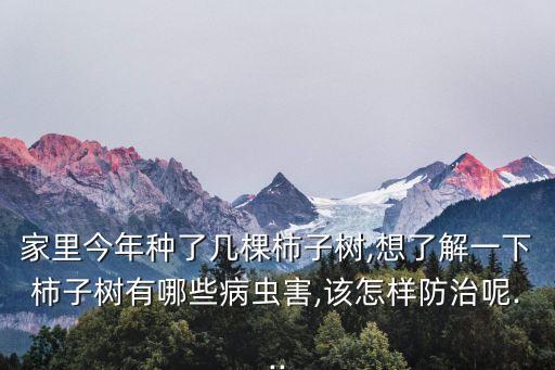 殺滅柿蒂蟲用什么農藥