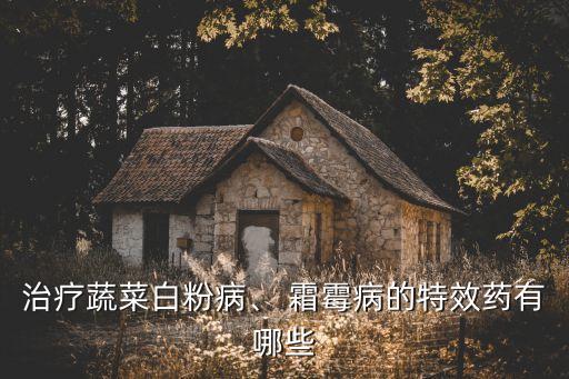 菜霜霉病噴什么農藥好,波菜霜霉病用什么農藥防治?