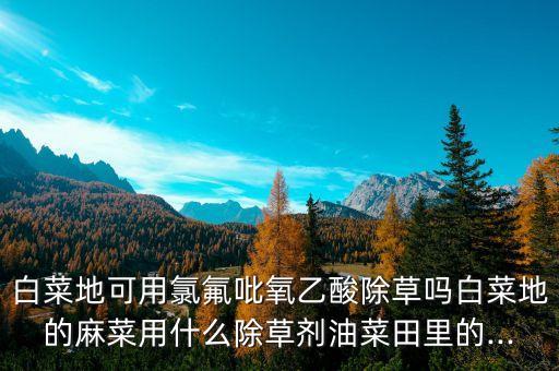 白菜地可用氯氟吡氧乙酸除草嗎白菜地的麻菜用什么除草劑油菜田里的...
