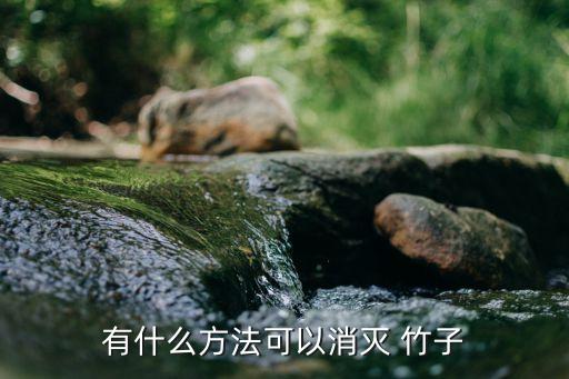 野竹子用什么農藥殺死最好,有沒有什么農藥可以殺死竹子