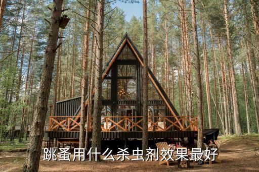 有跳蚤家里打什么農藥,家里驅跳蚤什么方法比較好