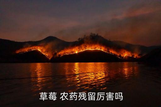  草莓 農藥殘留厲害嗎