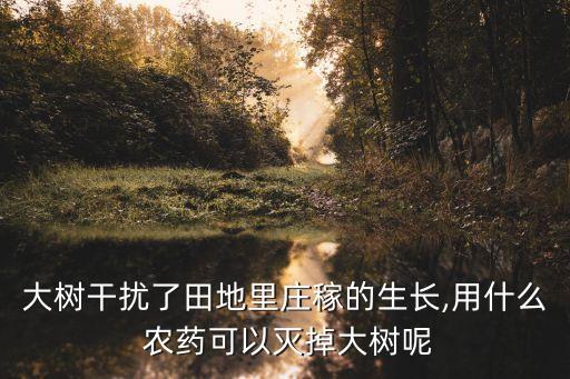 樹木壯桿有什么農(nóng)藥,拖把桿用什么樹木
