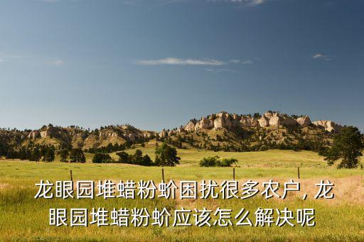 龍眼園堆蠟粉蚧困擾很多農戶, 龍眼園堆蠟粉蚧應該怎么解決呢