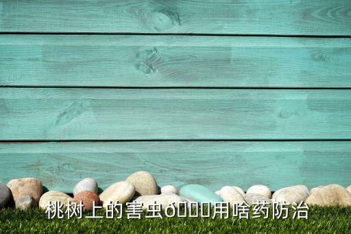 桃樹能用什么農藥殺蟲子,桃樹現在該打什么農藥