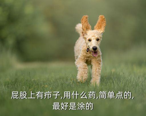 屁股上有癤子,用什么藥,簡單點的,最好是涂的