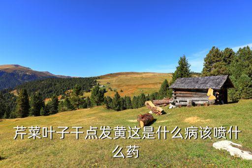  芹菜葉子干點發黃這是什么病該噴什么藥