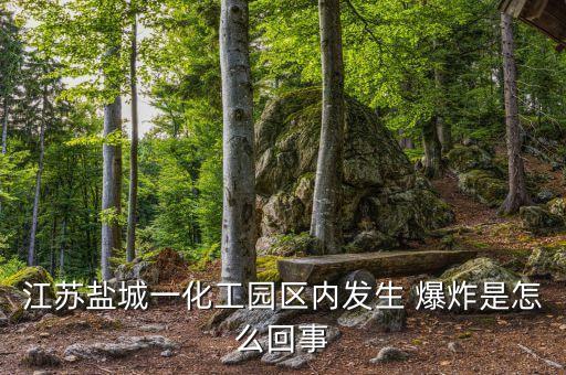 為什么農(nóng)藥會爆炸的原因,農(nóng)藥化工廠為什么會爆炸
