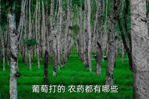 葡萄用什么農(nóng)藥效果好,葡萄補(bǔ)水液有什么效果好