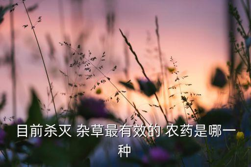 目前殺滅 雜草最有效的 農藥是哪一種